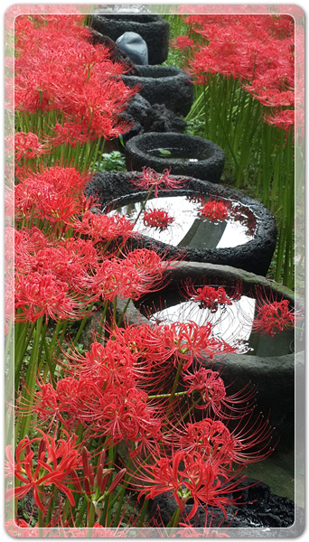 f360694bdb58a739cf6447bc5d8543e9_1506212