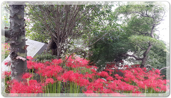 f360694bdb58a739cf6447bc5d8543e9_1506212