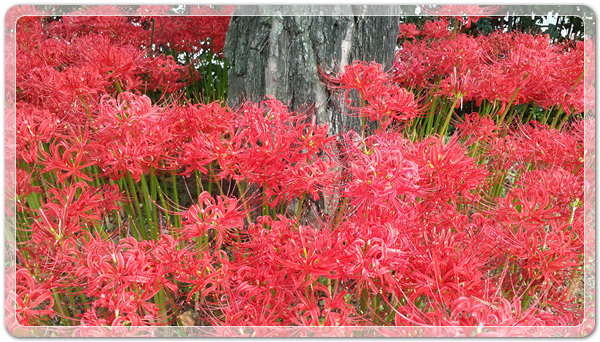 f360694bdb58a739cf6447bc5d8543e9_1506212