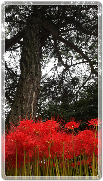 f360694bdb58a739cf6447bc5d8543e9_1506212