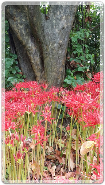 f360694bdb58a739cf6447bc5d8543e9_1506212