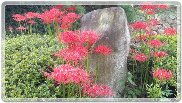 f360694bdb58a739cf6447bc5d8543e9_1506212