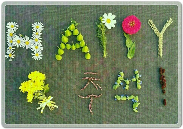 f9b4b701bd7d4dcad574c8e1fdb4c8a6_1507031