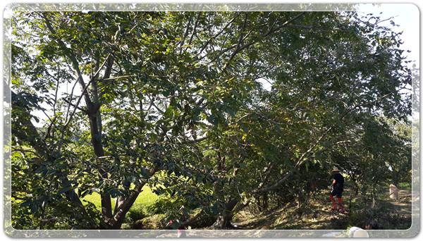 f9b4b701bd7d4dcad574c8e1fdb4c8a6_1507032