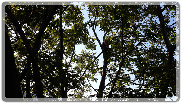 f9b4b701bd7d4dcad574c8e1fdb4c8a6_1507032