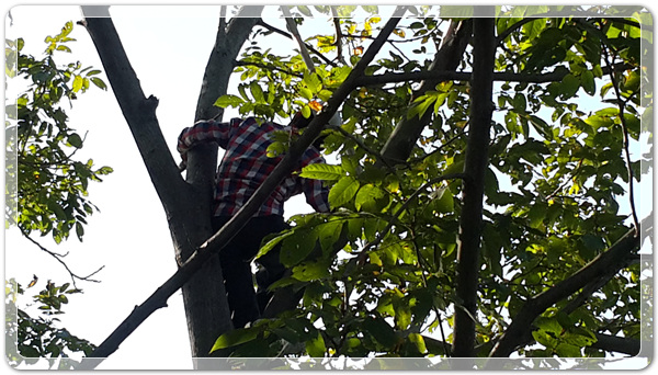 f9b4b701bd7d4dcad574c8e1fdb4c8a6_1507032