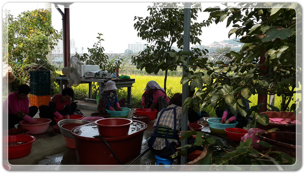 f9b4b701bd7d4dcad574c8e1fdb4c8a6_1507032