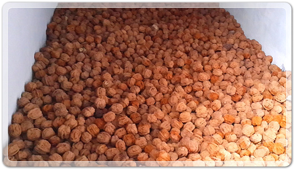 f9b4b701bd7d4dcad574c8e1fdb4c8a6_1507032