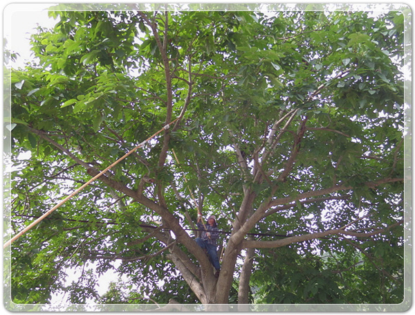 f9b4b701bd7d4dcad574c8e1fdb4c8a6_1507032