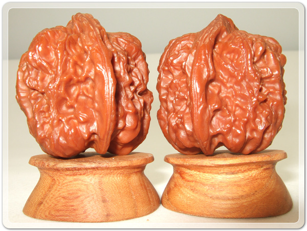 f9b4b701bd7d4dcad574c8e1fdb4c8a6_1507032