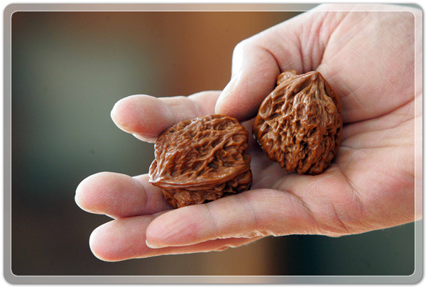 f9b4b701bd7d4dcad574c8e1fdb4c8a6_1507032