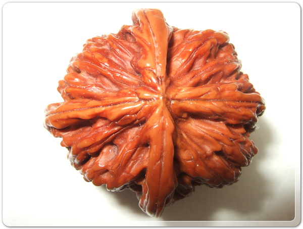 2f2678c422e247f848ded0a41ca24e39_1515931