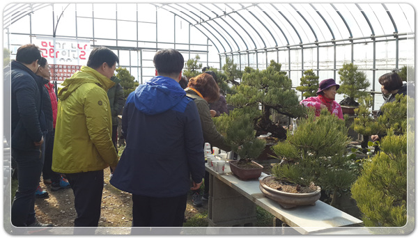 2f2678c422e247f848ded0a41ca24e39_1515932