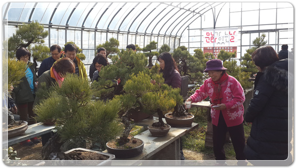 2f2678c422e247f848ded0a41ca24e39_1515932