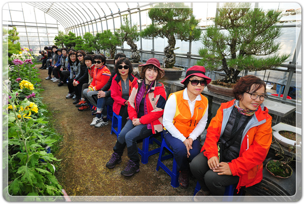 d625a6b5666d01314ee9c461edc51ef9_1516522