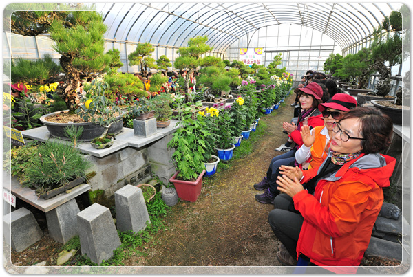 d625a6b5666d01314ee9c461edc51ef9_1516522