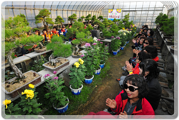 d625a6b5666d01314ee9c461edc51ef9_1516522