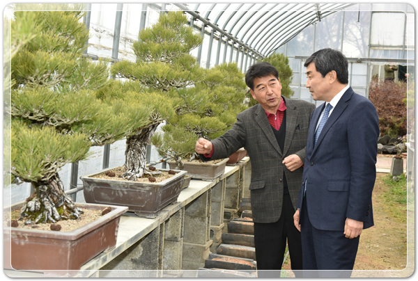 e55fce81357d661116edd83892e45574_1515745