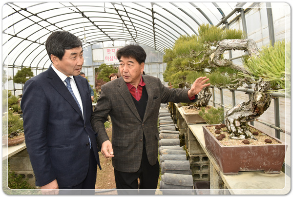 e55fce81357d661116edd83892e45574_1515745