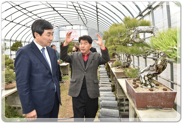 e55fce81357d661116edd83892e45574_1515745