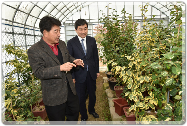 e55fce81357d661116edd83892e45574_1515745