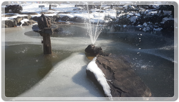 e7eb50b9dcc8230f1d8f0af4809349f5_1515844