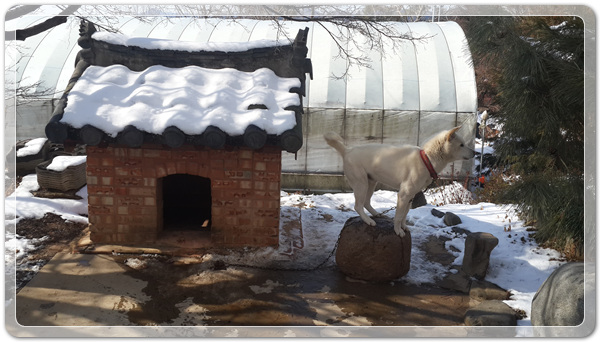 e7eb50b9dcc8230f1d8f0af4809349f5_1515844