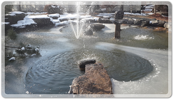 e7eb50b9dcc8230f1d8f0af4809349f5_1515844