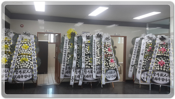 e7eb50b9dcc8230f1d8f0af4809349f5_1515844