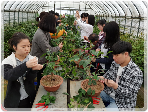 e2b0fedc0769d5d38e7d0b46f6478f86_1537018