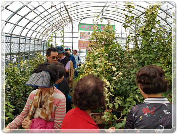 326cc8e7e22b3c2058b1fc5a6361b907_1538898