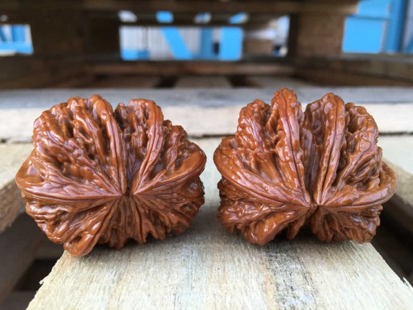 3bdd72850a28b0de73ec53c05041a961_1455244