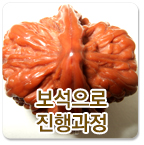 보석으로 진행과정